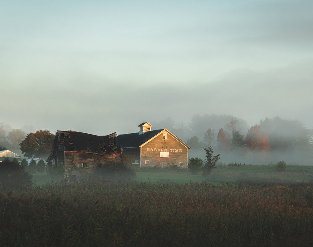 Landscape