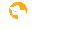 Pipo V Media 